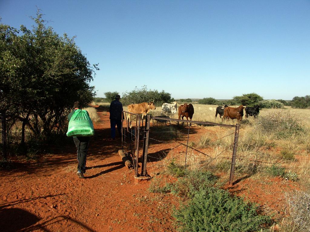 090509_South_Africa 131.jpg